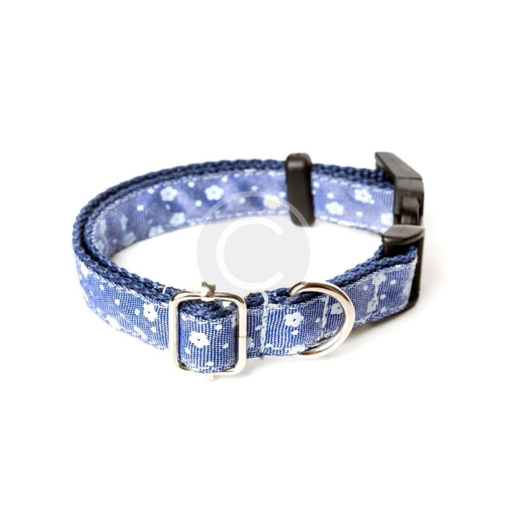 Printed Dog Collar