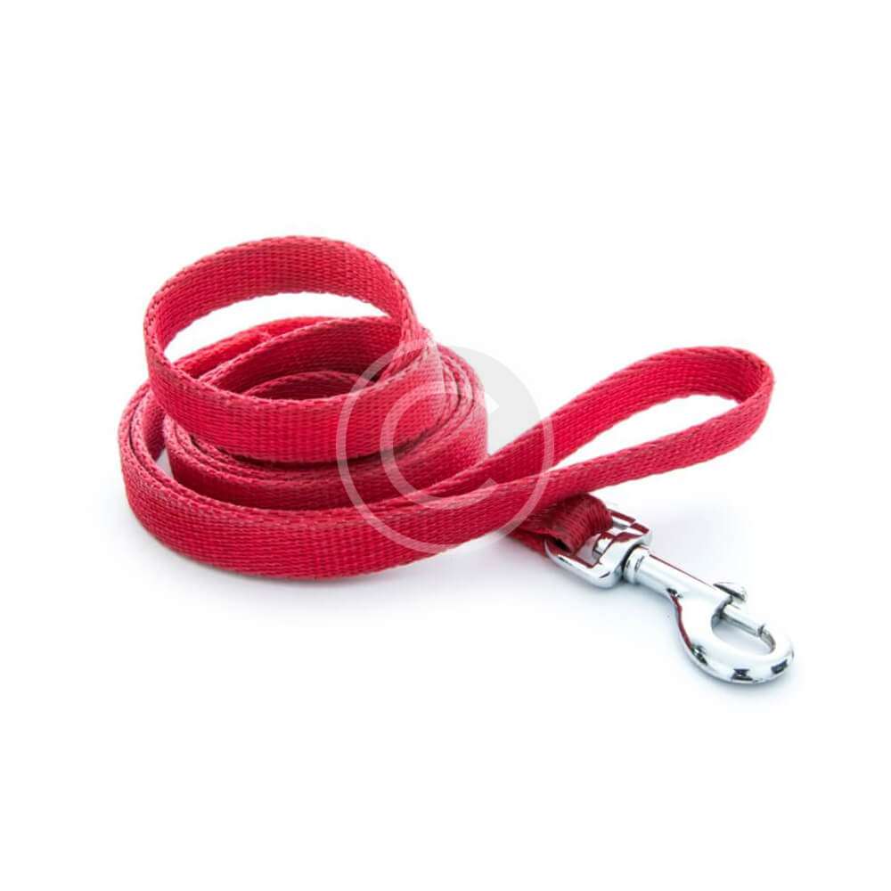 Red Dog Leash