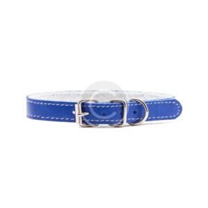 Blue Dog Collar