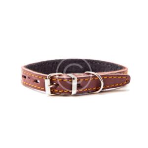 Brown Dog Collar